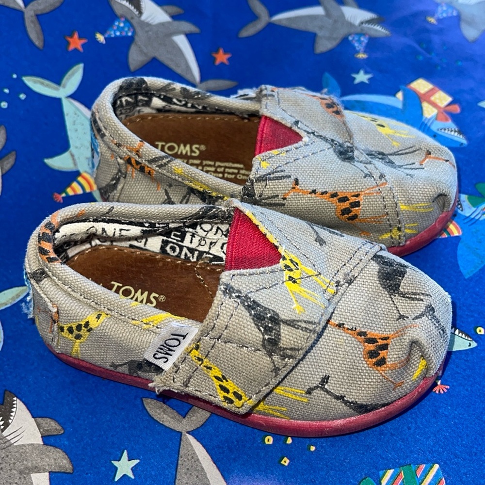 Baby Giraffe Toms